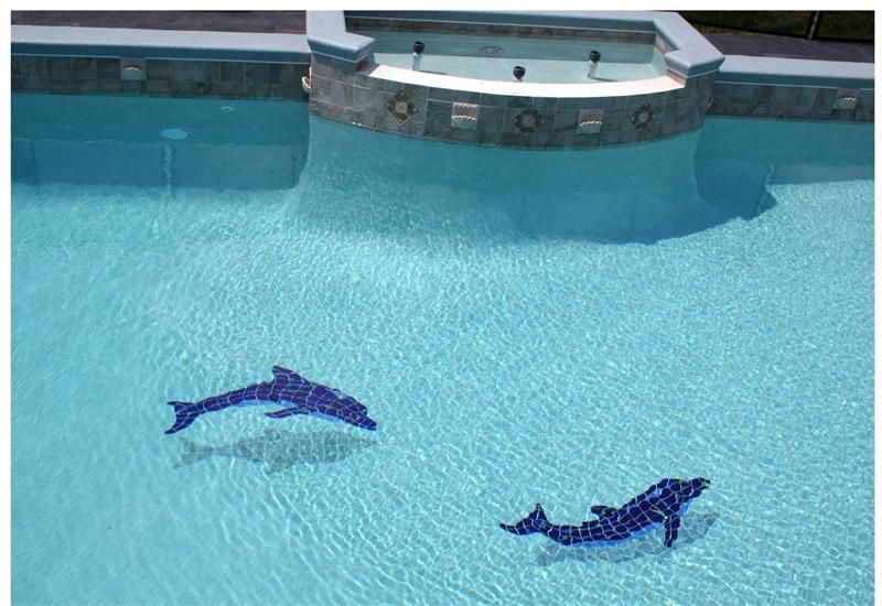 A Guide to Finding Swimming Pool Contractors
